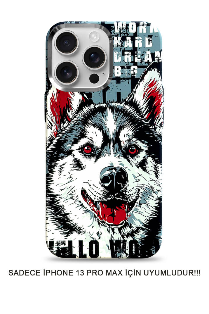 iPhone 13 Pro Max Kılıf MagSafe Uyumlu Hayvan Figürlü Premium Kapak Kılıf SOO-740 - 1